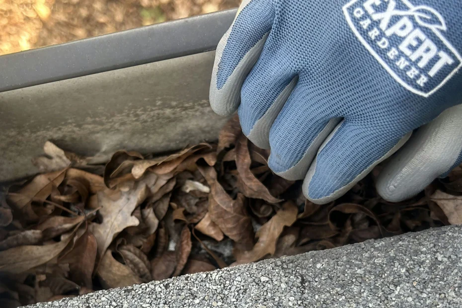 Gutter Cleaning Clearwater FL