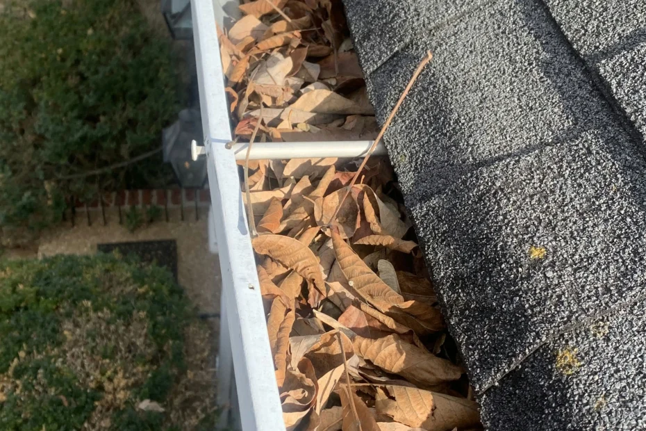 Gutter Cleaning Clearwater FL