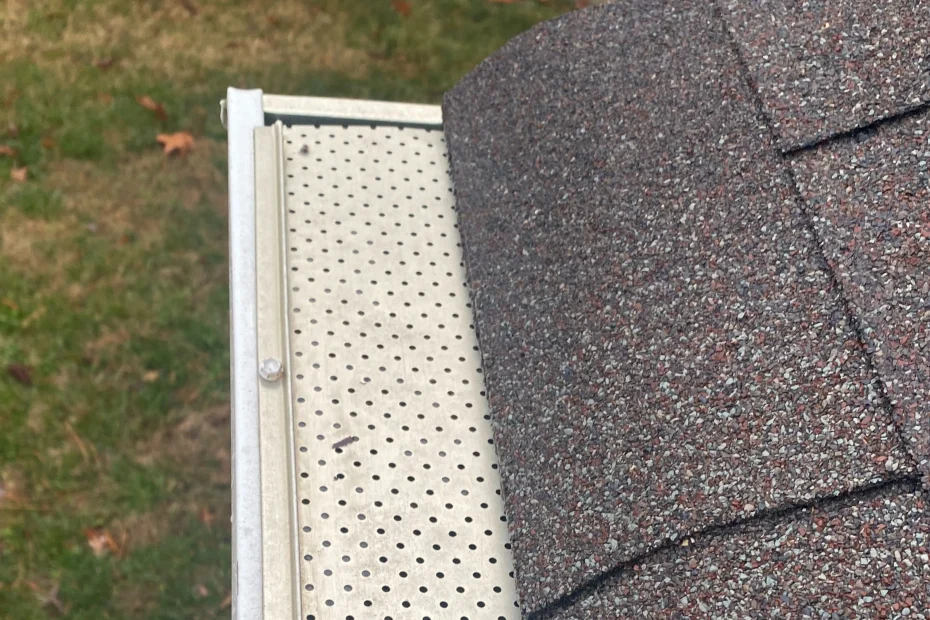 Gutter Cleaning Clearwater FL