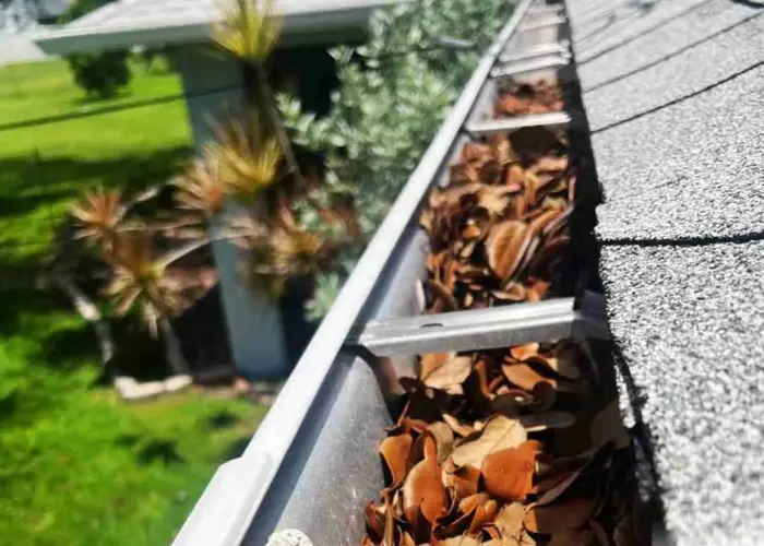 Gutter Cleaning Clearwater FL home page